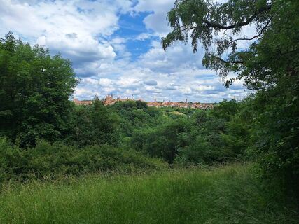 Fotografija s spletne strani Jaap Rozeboom na poti