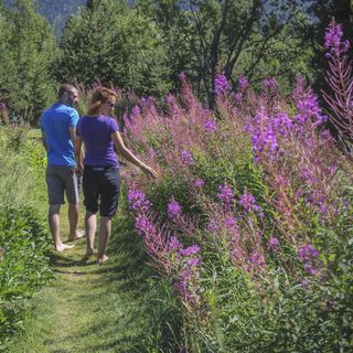 Barfusstrail