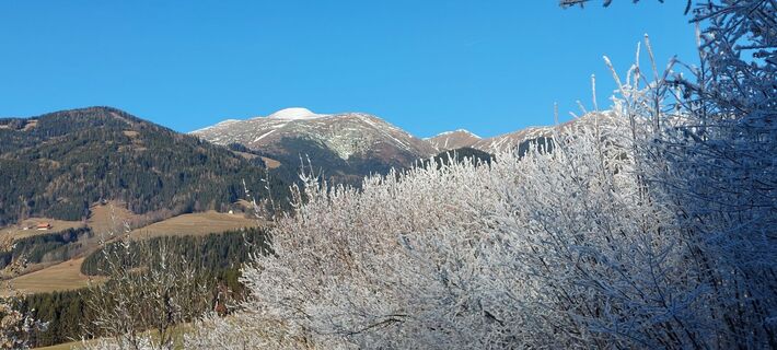Zdjęcie z Johann Eisenbeutl wzdłuż trasy