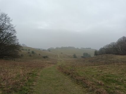Fotografija s spletne strani Marga na poti