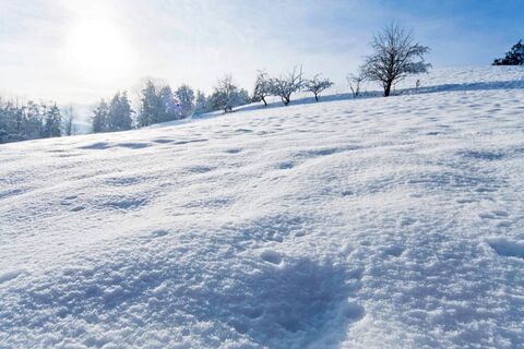 Auerhahn Winterwanderweg