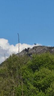 Fotó a Klaus knaack honlapról a túra során