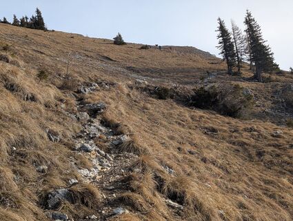 Photo de Wuppi le long du parcours
