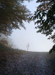Fotografia z Daniel Kremiec na trase