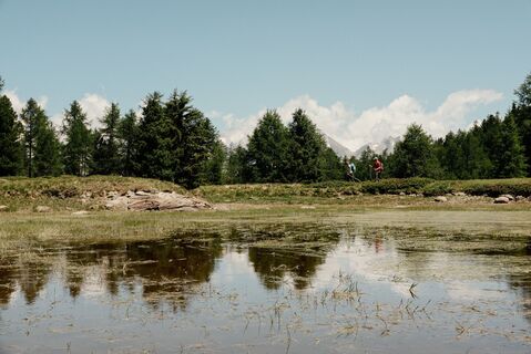 Blindenseelein in der Moosalpregion