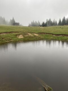 Foto von Sven Krieblin entlang der Tour