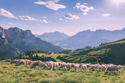 Buffaure - Rifugio Baita Cuz