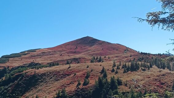 Fotografija s spletne strani Monikasalzer3 na poti