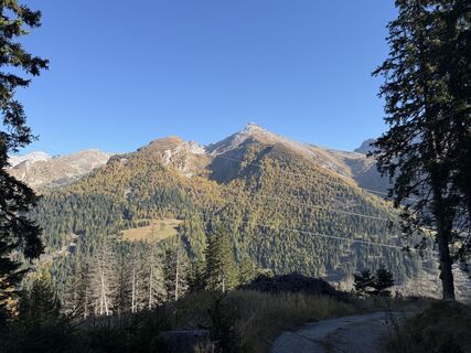 Photo de Stefano “Iddo” le long du parcours