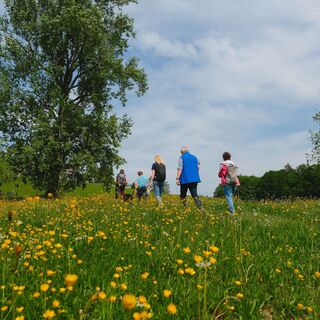 Blühender Feldweg
