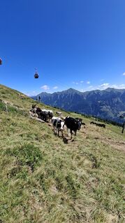 Foto von David Vogl entlang der Tour