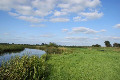 Badestelle Bünge