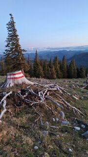 Foto von Aga M entlang der Tour