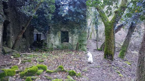 Zdjęcie z Michele Zollia wzdłuż trasy