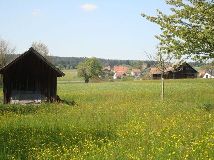 Zwerenberger Dorflehrpfad