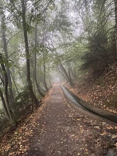 Foto von Jürgen Clement entlang der Tour