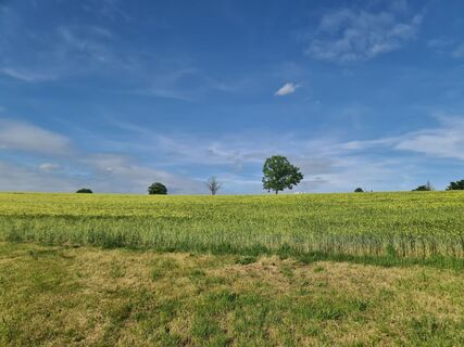 Fotografie z Wolfram Bechtel Ma na trase