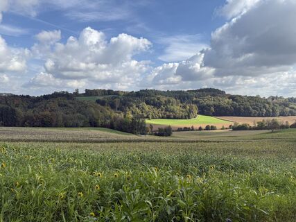 Foto von Walter Baumgartner entlang der Tour