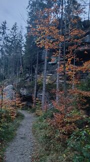 Foto von Fantom RoK entlang der Tour