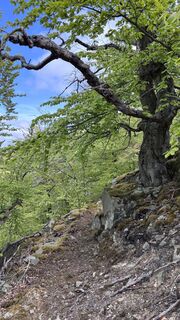 Photo de Eva T. le long du parcours