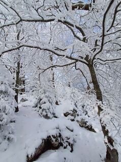 Photo de Angelika Poschinger-Reh le long du parcours
