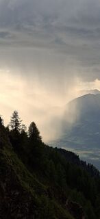 Foto von Mangolein entlang der Tour