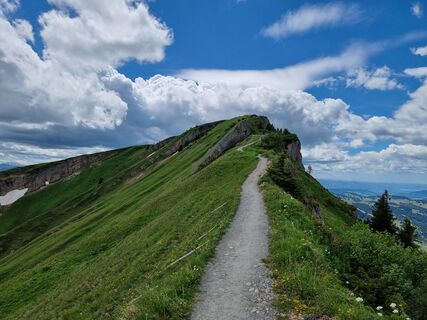 Foto von Felix entlang der Tour