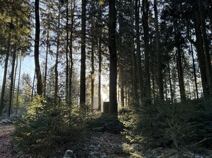 Foto von Norbert Herbig entlang der Tour