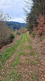 Photo de Roland Meitz le long du parcours