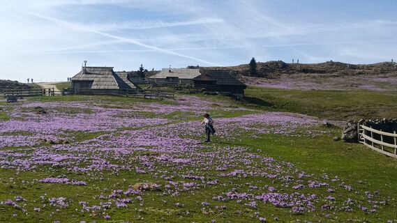 Foto von Davor Puklin entlang der Tour