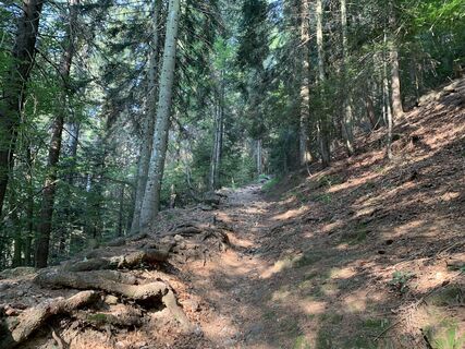 Fotografia z Alberto Ghiretti na trase