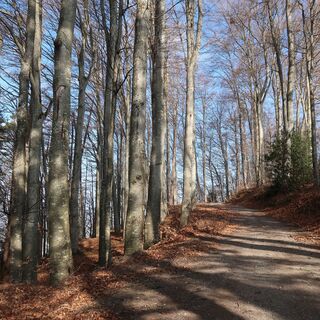 Weg Gummeholz - Belpberg-Chutzen Wanderung
