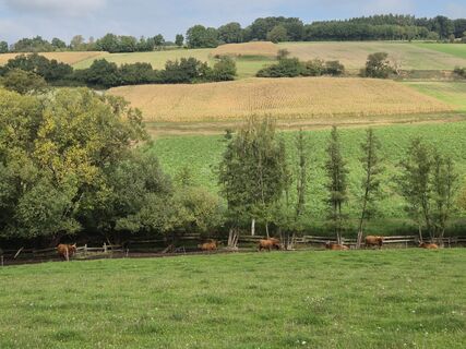 Fotografia z Karo na trase