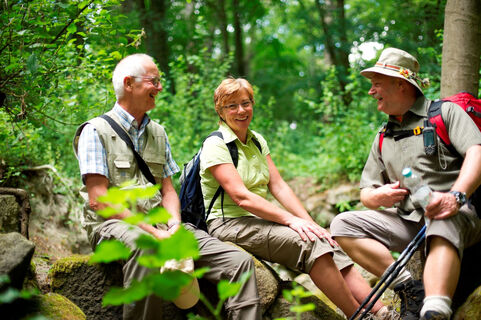Wanderrast im Habichtswald