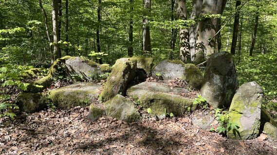 Fotografia z Siggi unterwegs na trase
