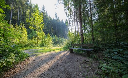 Rastplatz Prälatenweg (c) Pater Martin