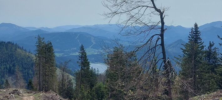 Fotografija s spletne strani Klaus Gruber 3 na poti