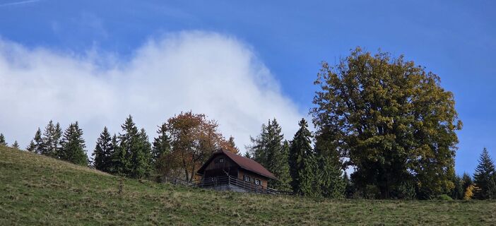 Photo de Nat Alia le long du parcours