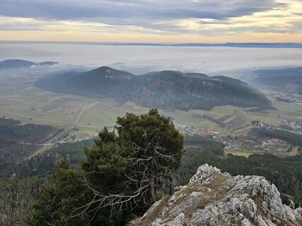 Foto von TwilightTea entlang der Tour