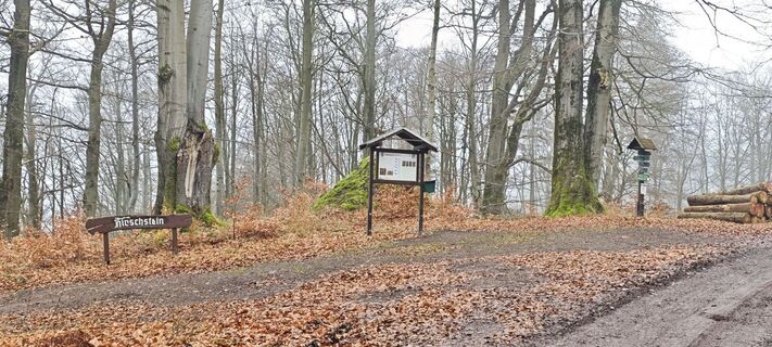 Foto von Jan 2505 entlang der Tour