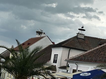 Foto von Robert.Unterlercher entlang der Tour