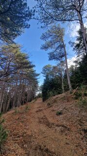 Foto fra Michael D underveis på turen