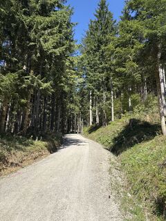 Foto von Heinz Sperl entlang der Tour