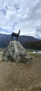 Foto de Mario Thomaschütz a lo largo del recorrido