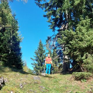 Foto da Brigitte Binder lungo il tour