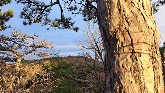 Fotografia z monika pomahac 1 na trase