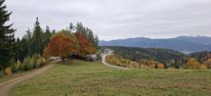 Photo de Erika Schwaighofer le long du parcours