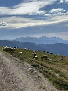 Foto von Roger Vogel entlang der Tour