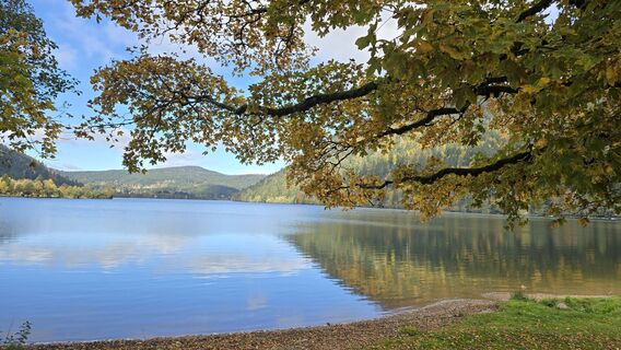 Fotografia z Katja Senkel na trase