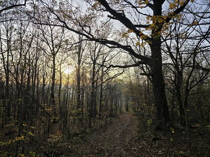 Foto von TwilightTea entlang der Tour